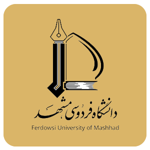 Nano Age Engineering Technical Company c-3