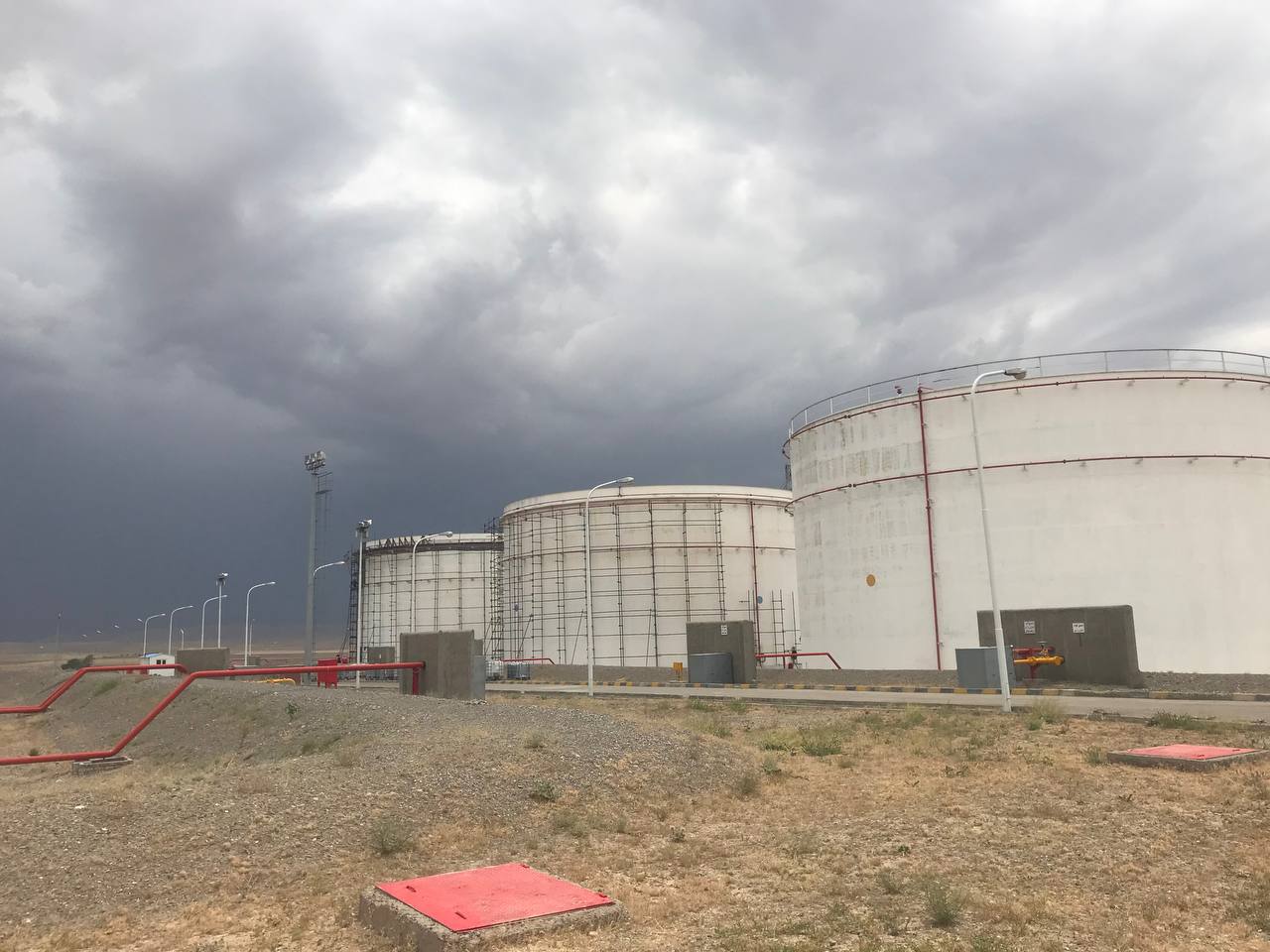 photo_10_2025-06-12_07-54-01